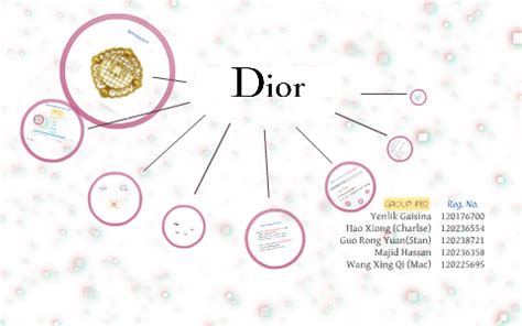 dior company structure|dior company background.